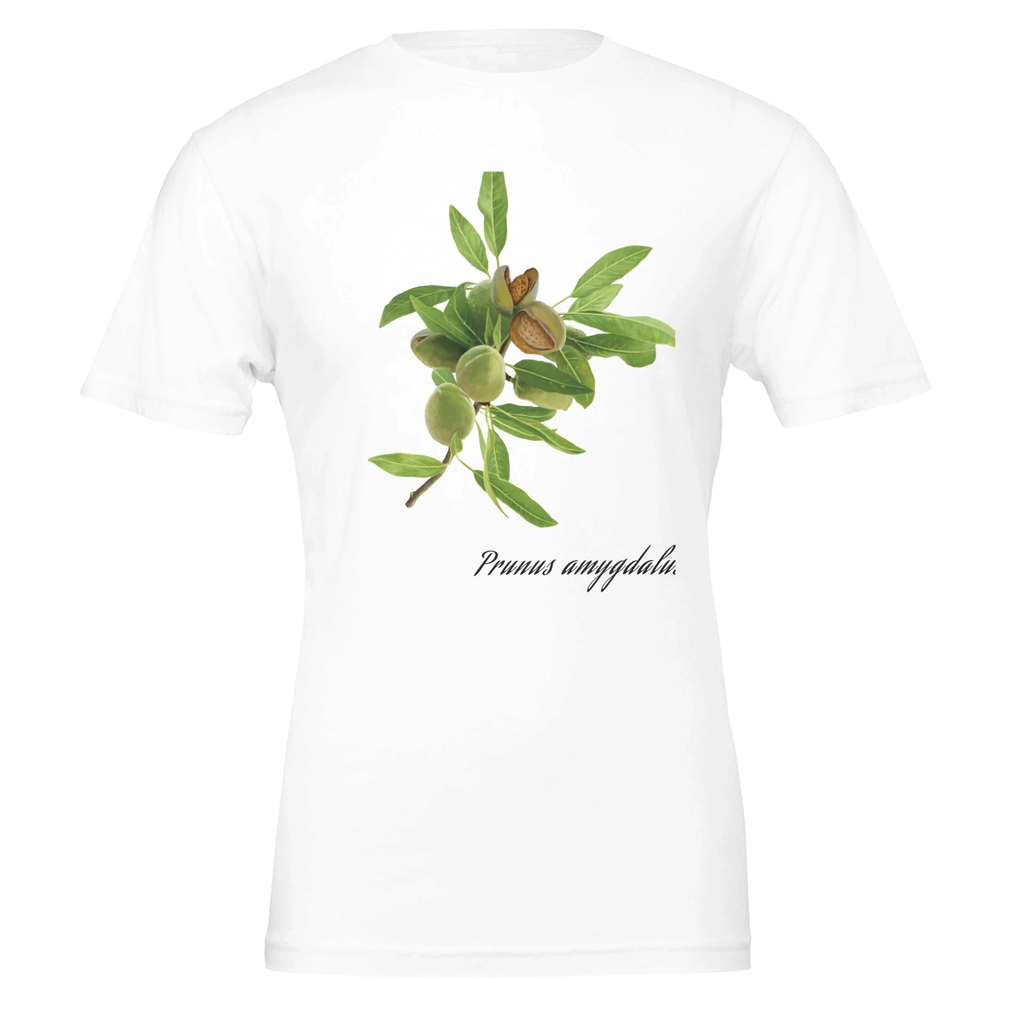 0c36b5af-fd17-47d6-8533-68a8f779526a