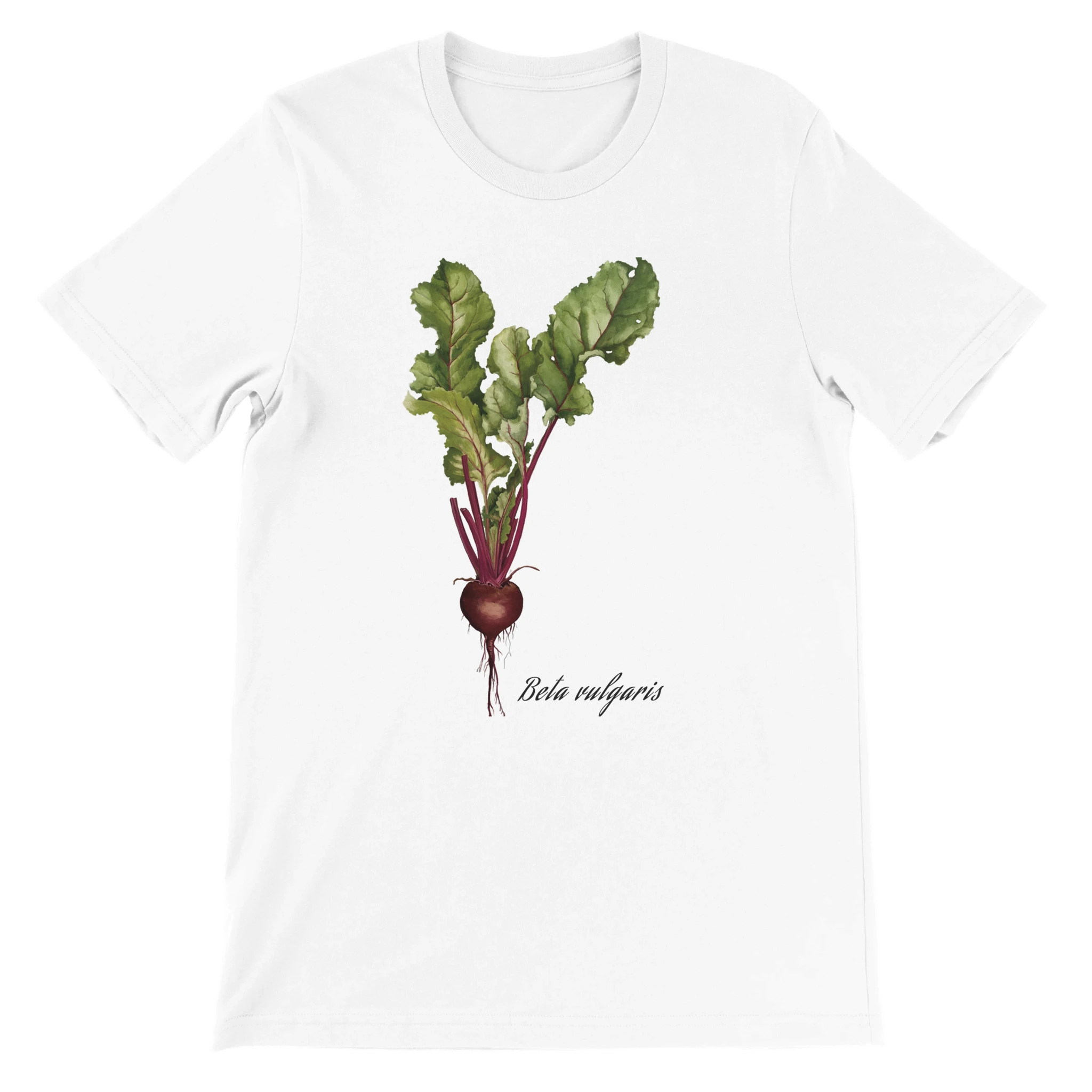 1b1e3aca-463c-450d-b818-0a3a10a7d6a3