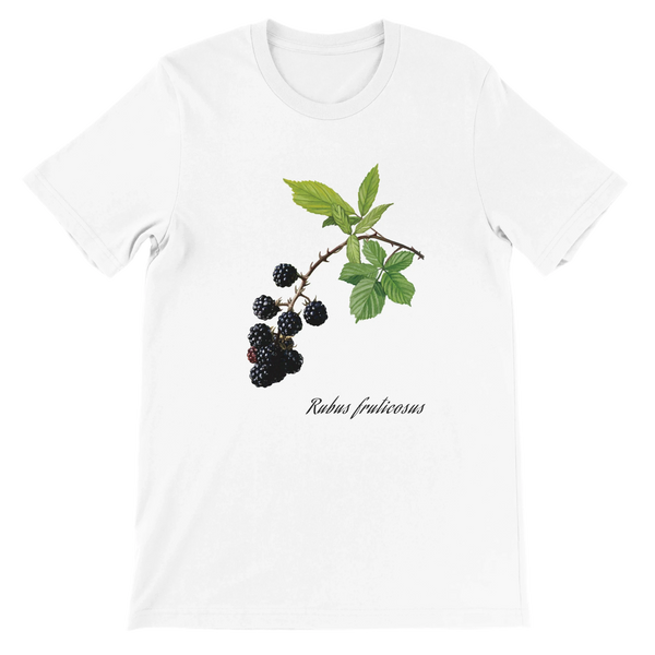 3b1846a4-2919-43f8-9dfd-b8c0f6a77a46