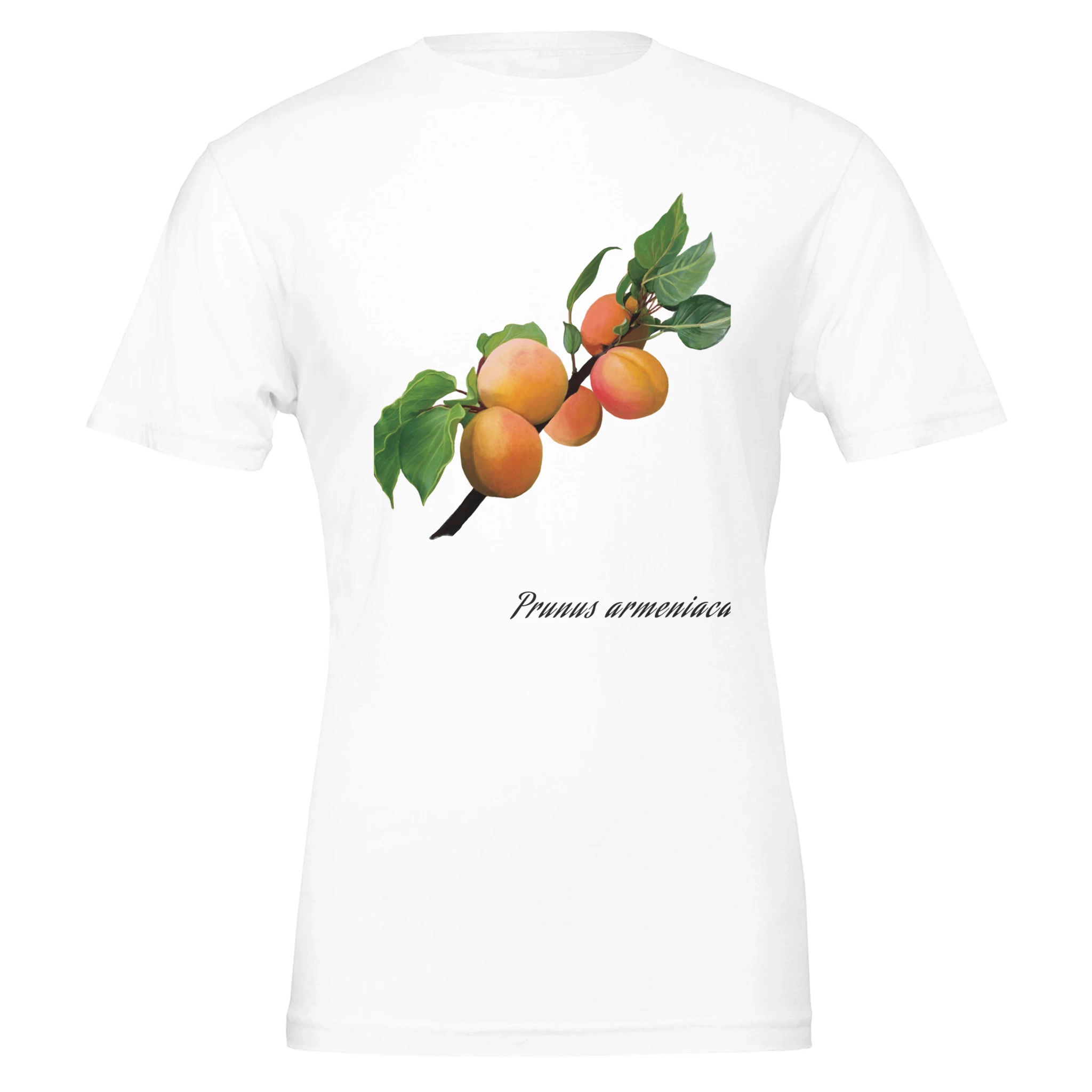 75488331-3ba2-4437-a9b3-55aed0b4a50b