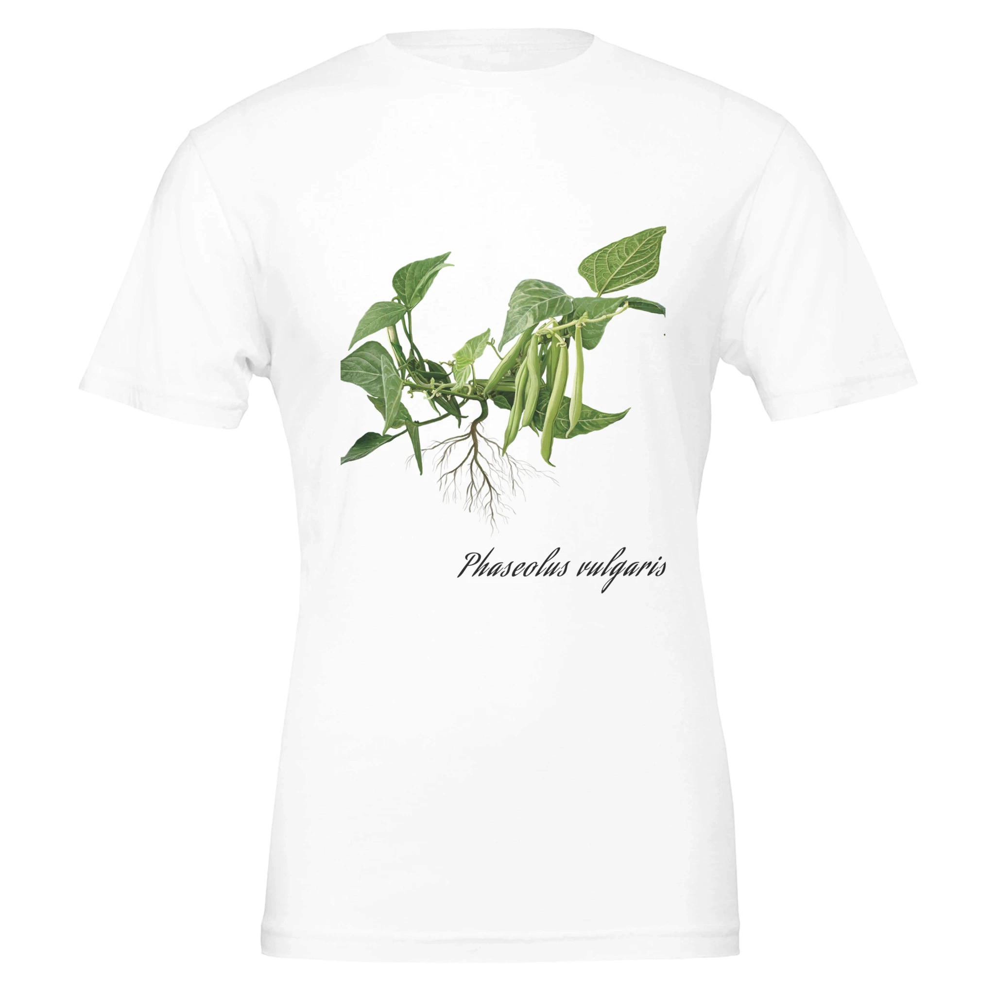 758cd753-4f0d-4dde-9cbd-2f2ed8eb9cb0