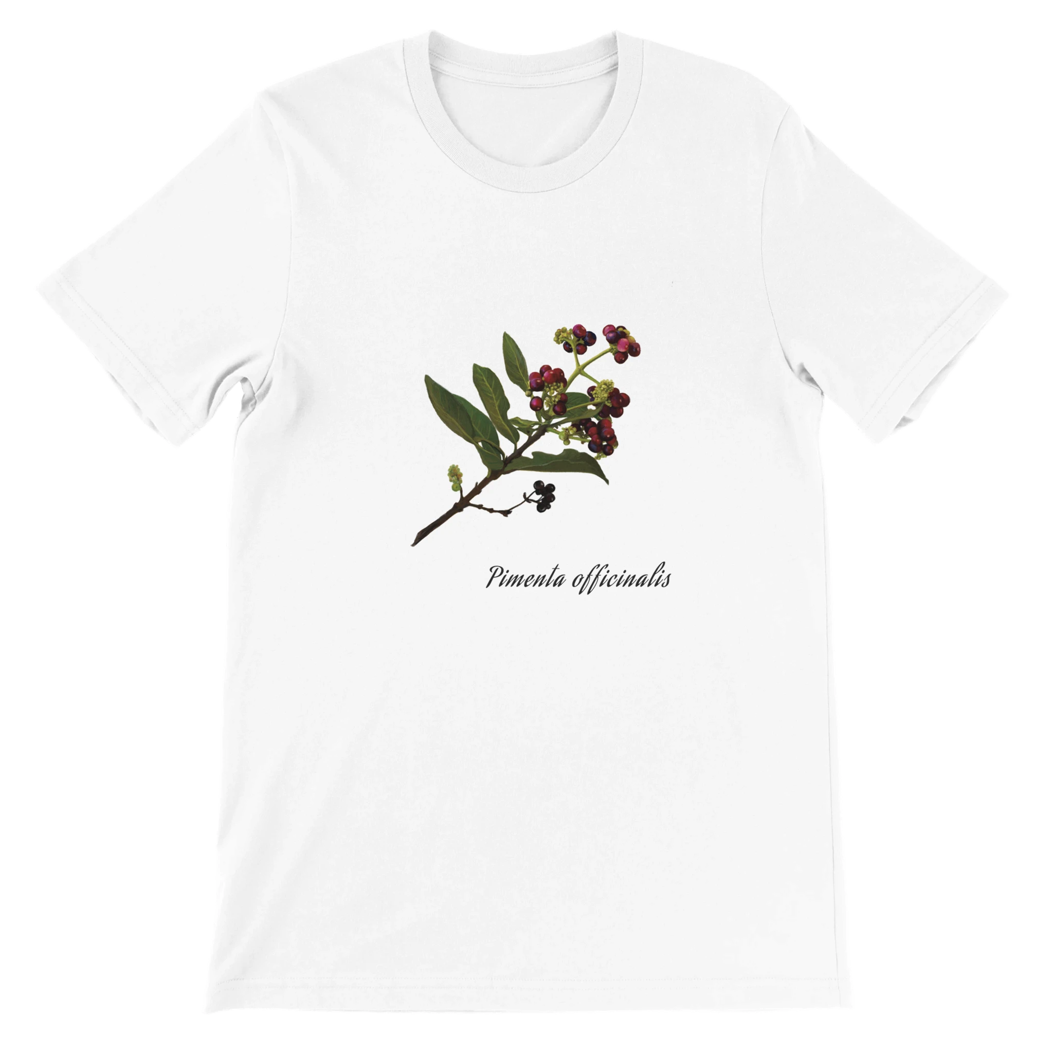 bc27913a-2c52-4315-962e-f17fcaeaa091