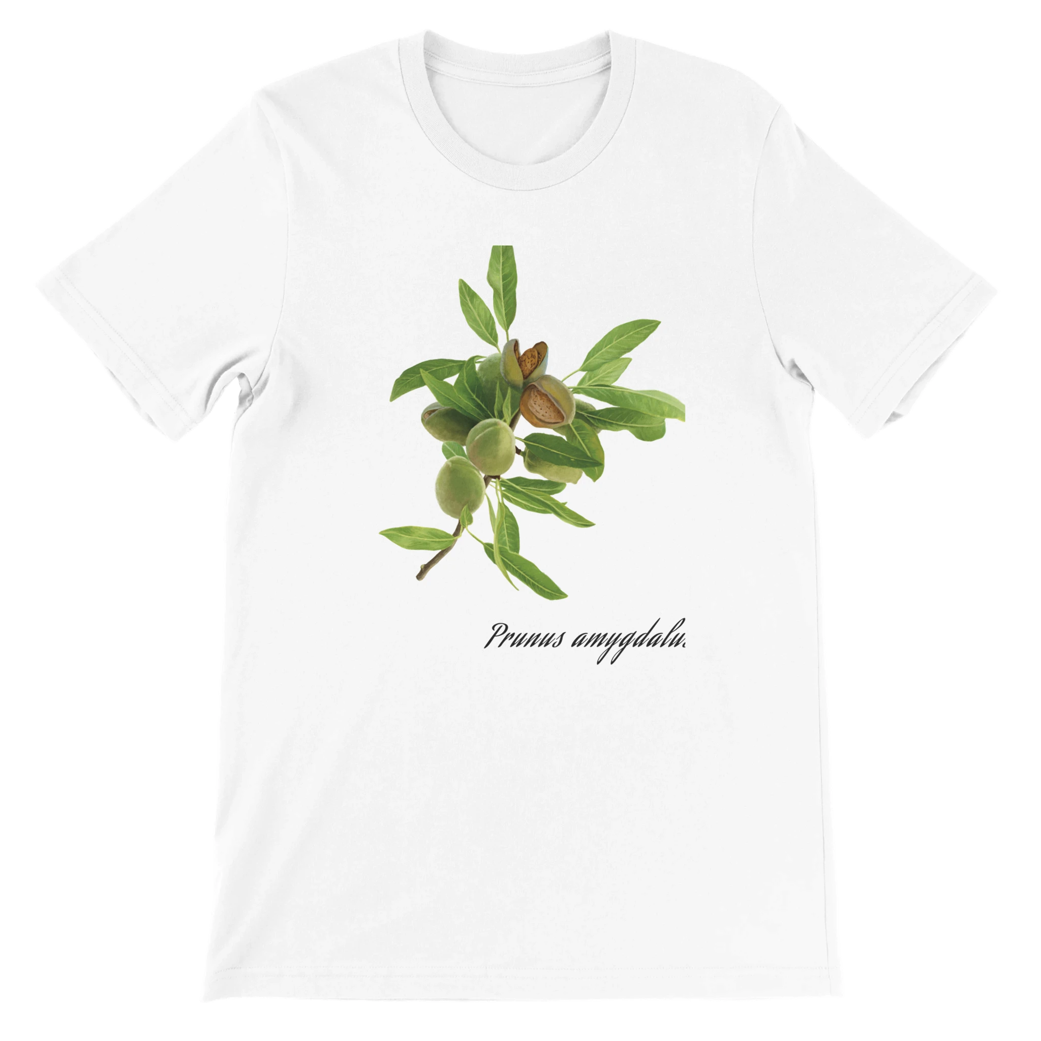 c362f660-4d53-419b-a9b5-cb247eef98de