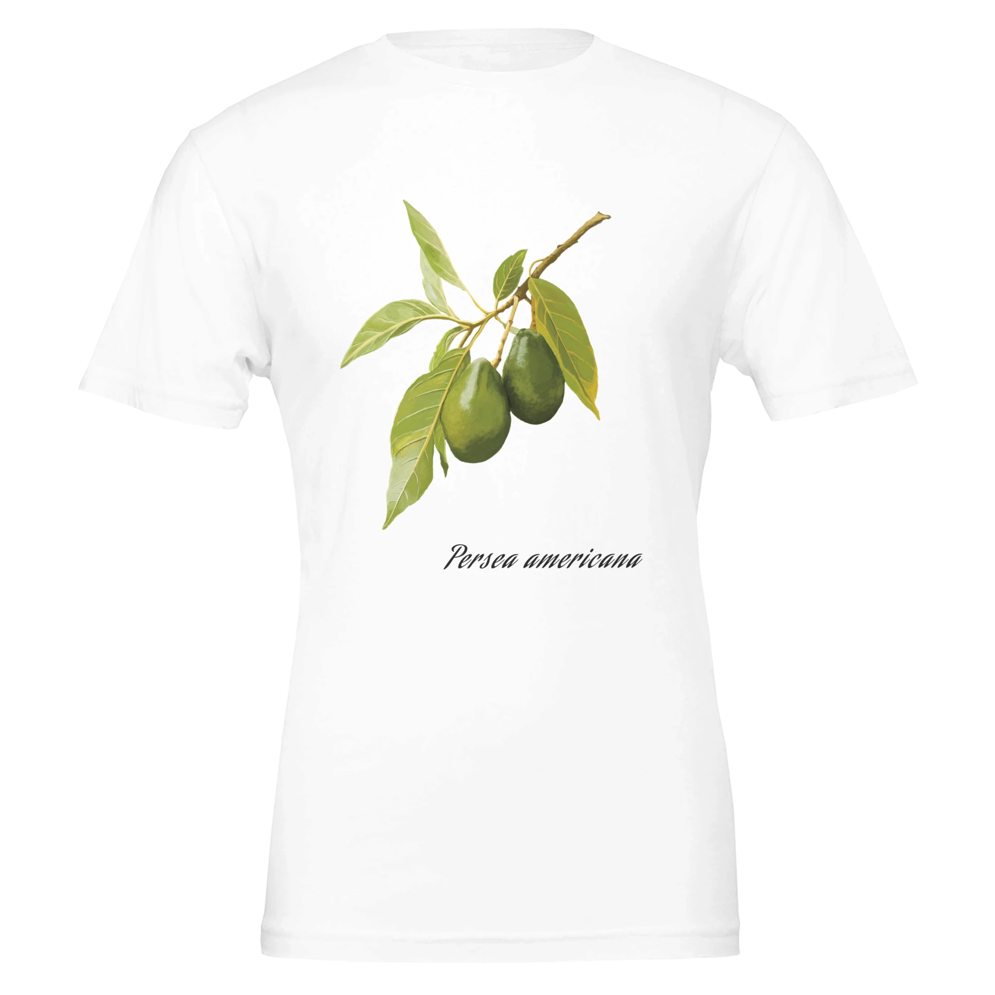 c902b4ff-5b70-4b92-bc1a-f295436b9176