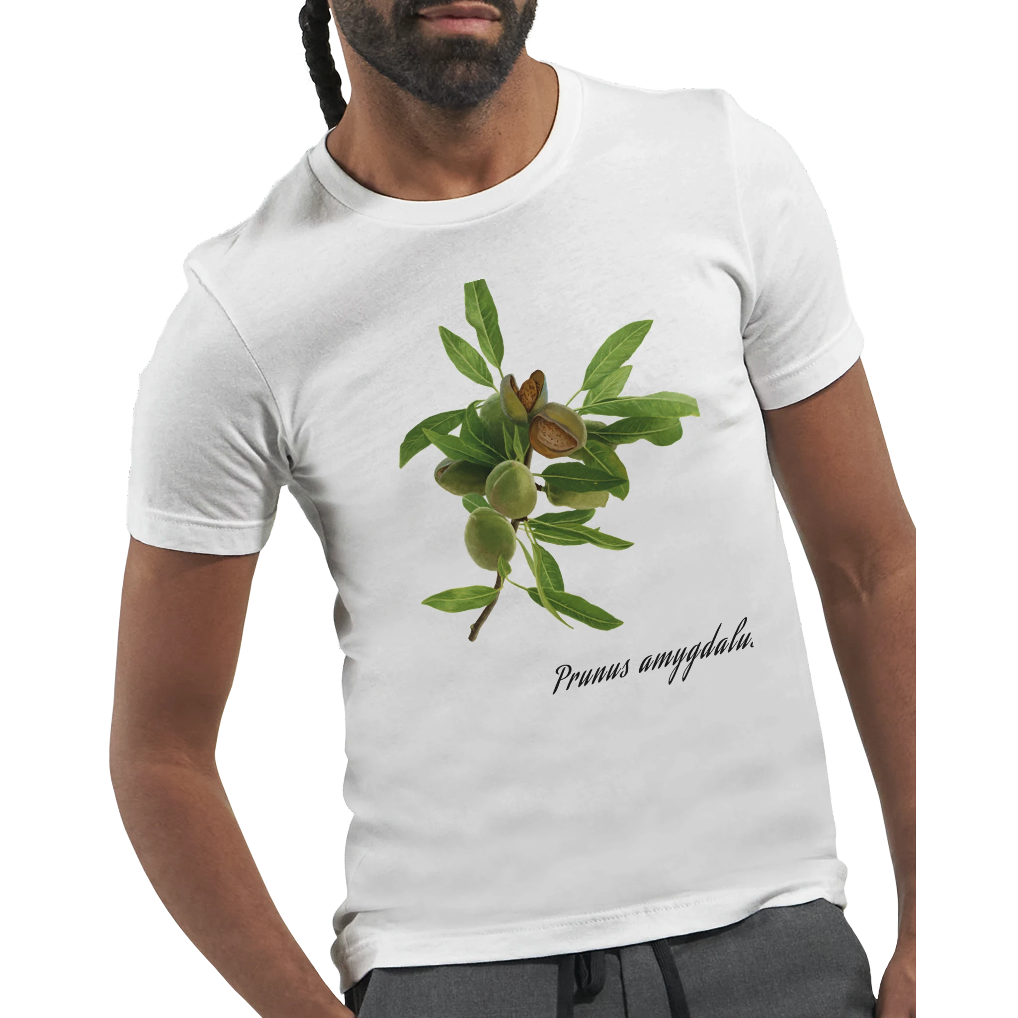 dd0ba8c2-014f-4a80-a7b6-01026141ed86