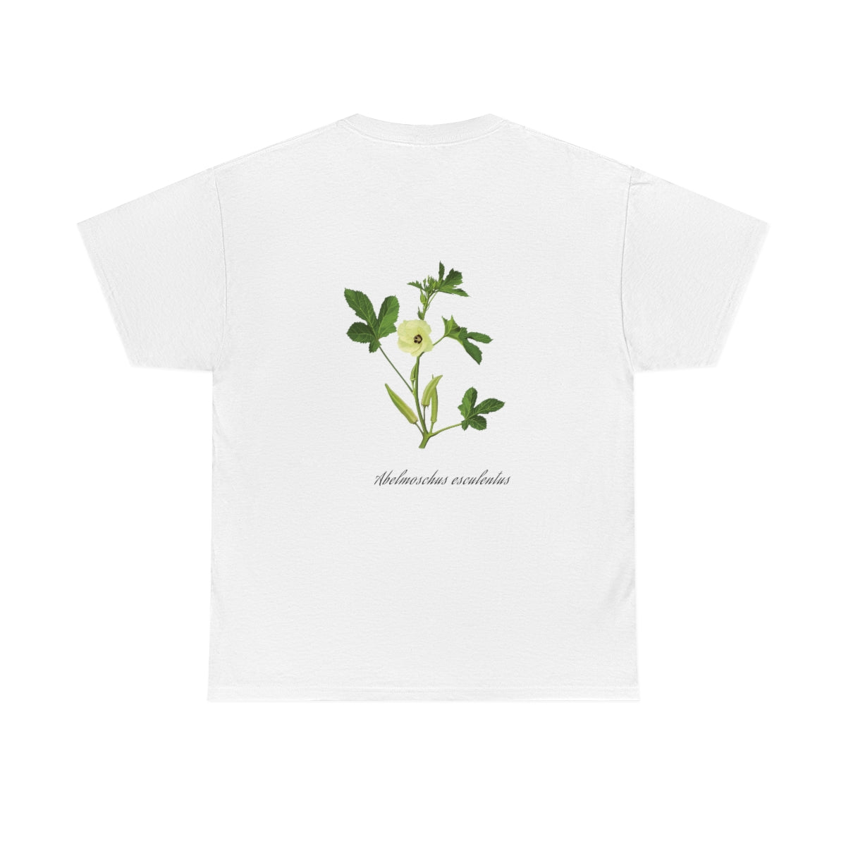 Okra