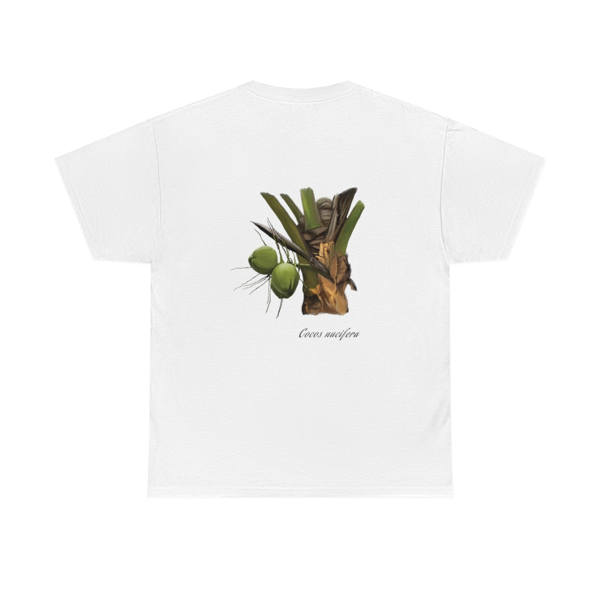 Coconut