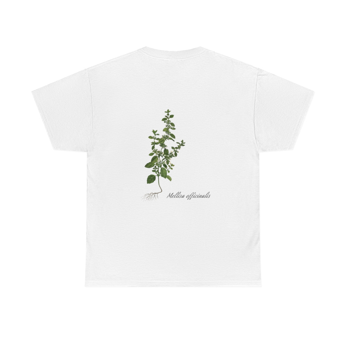Lemon Balm