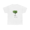 Thyme
