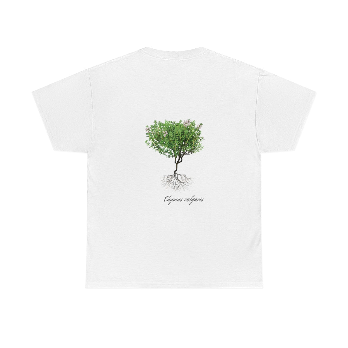 Thyme