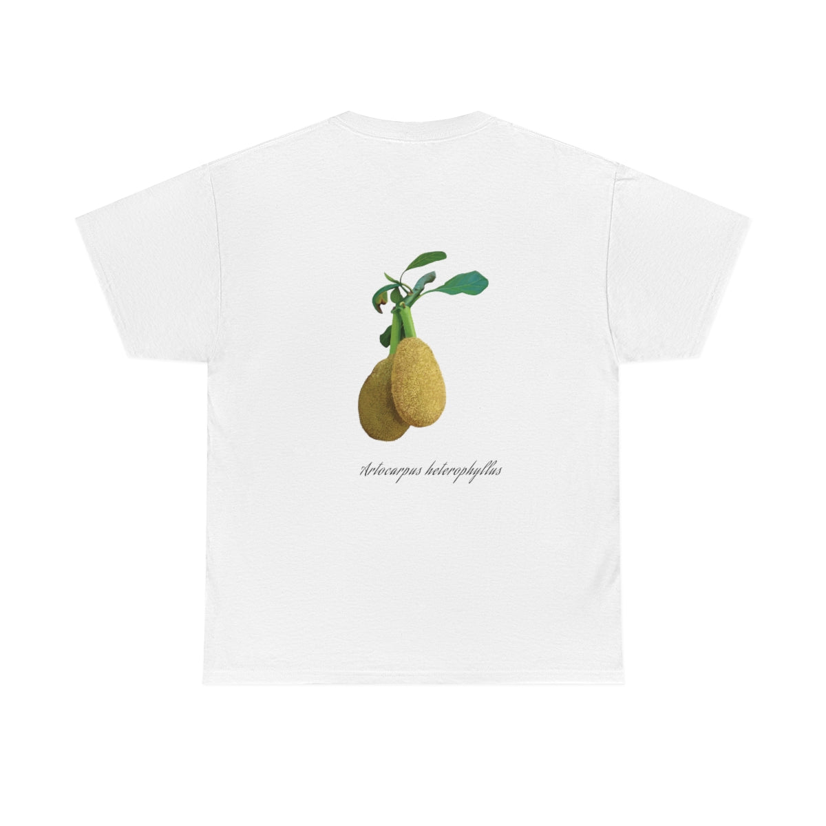 Jackfruit