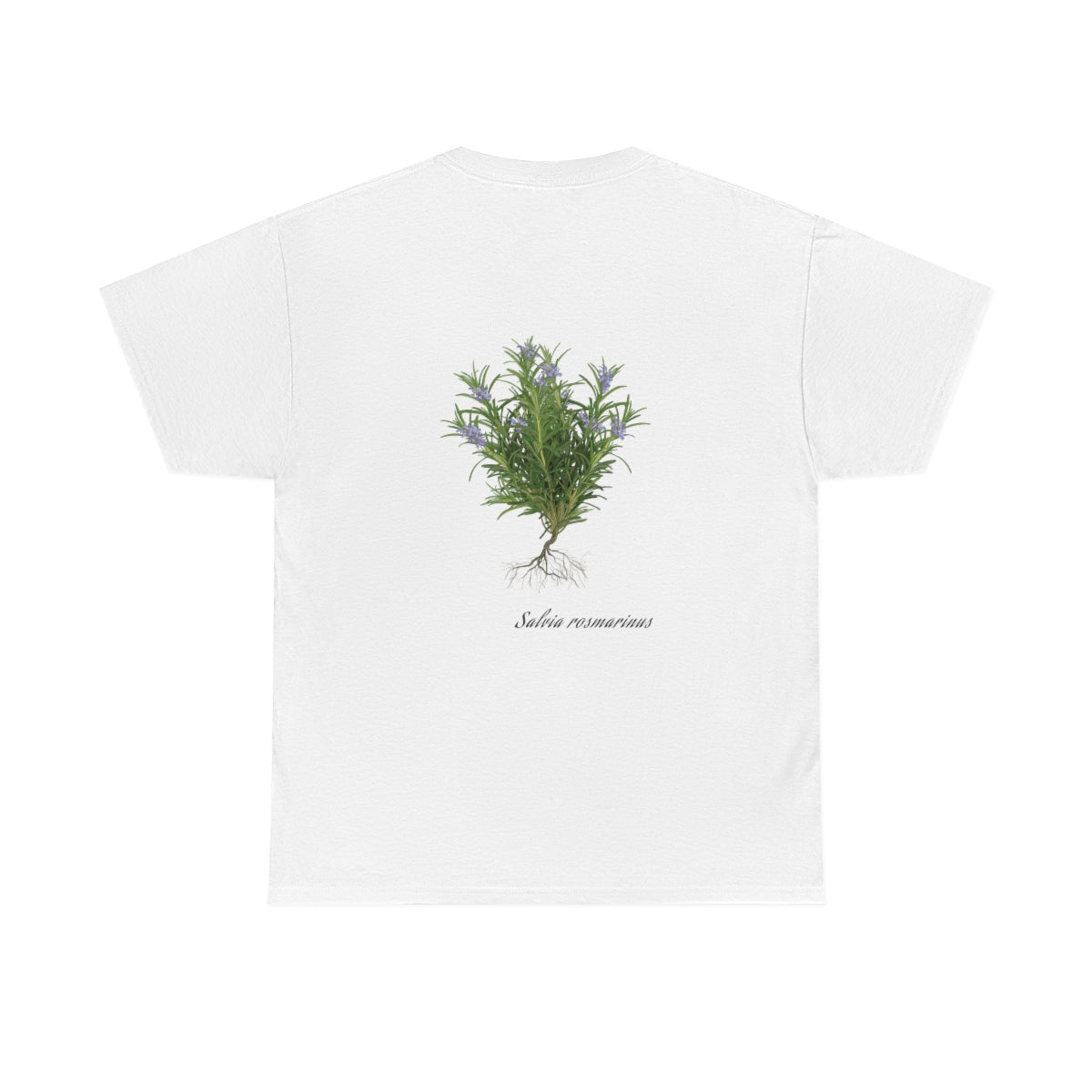 Rosemary