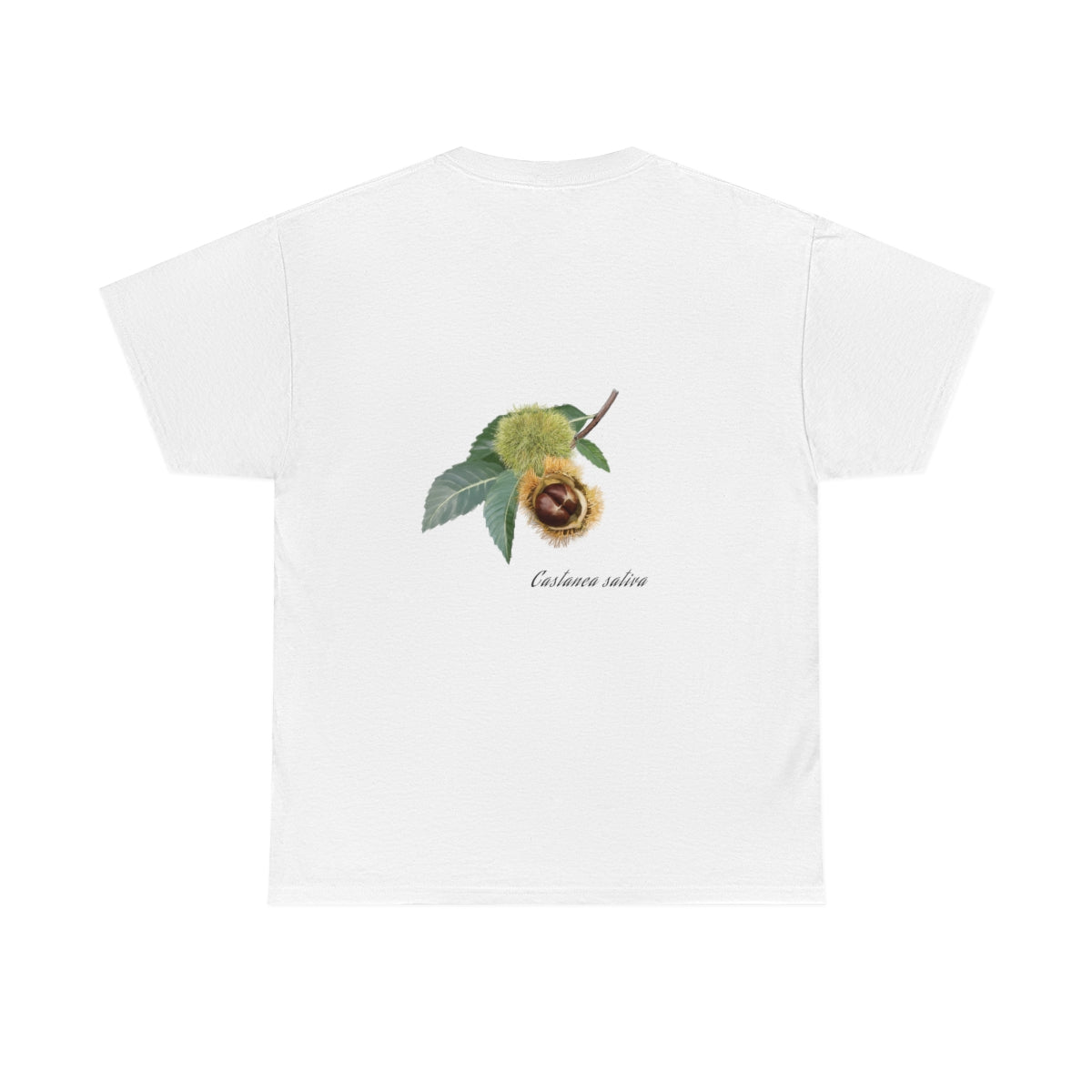 Chestnut