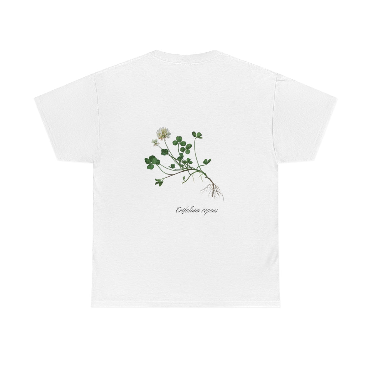 Clover