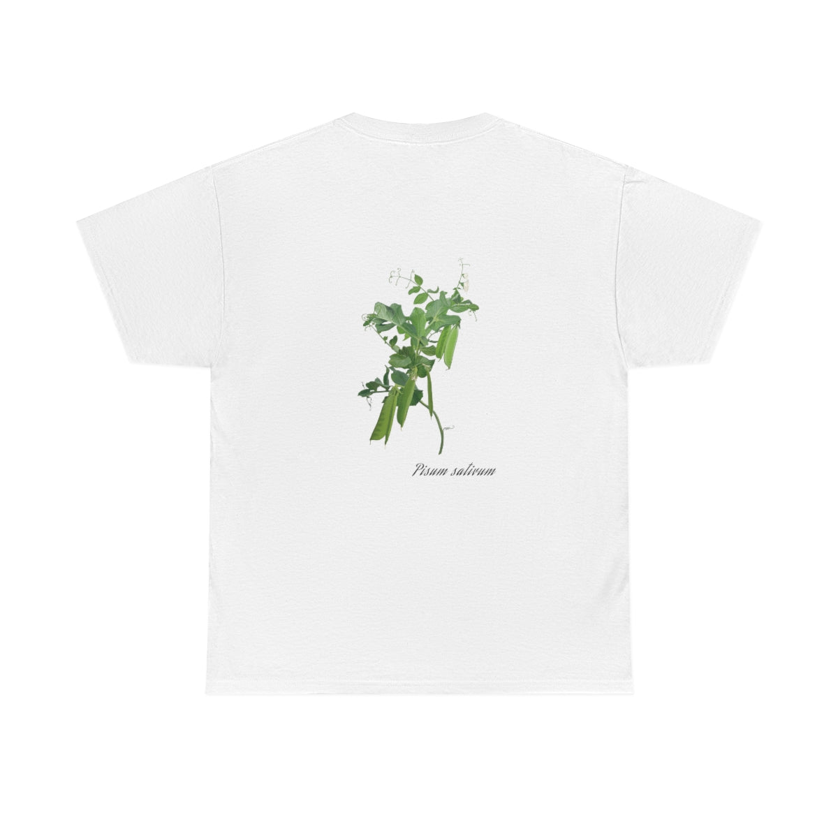 Pea