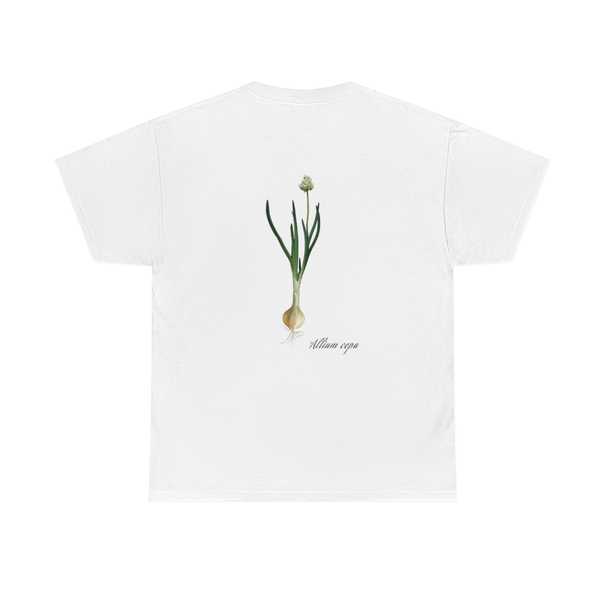Onion