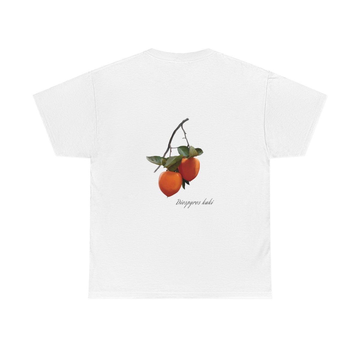Persimmon