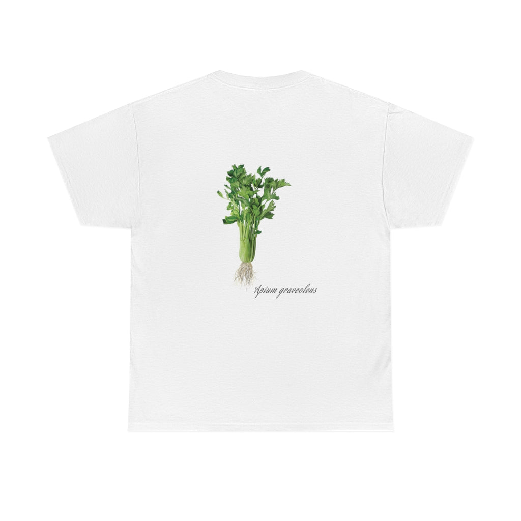 Celery