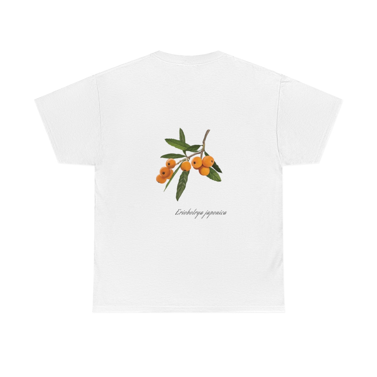 Loquat