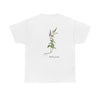 Mentha