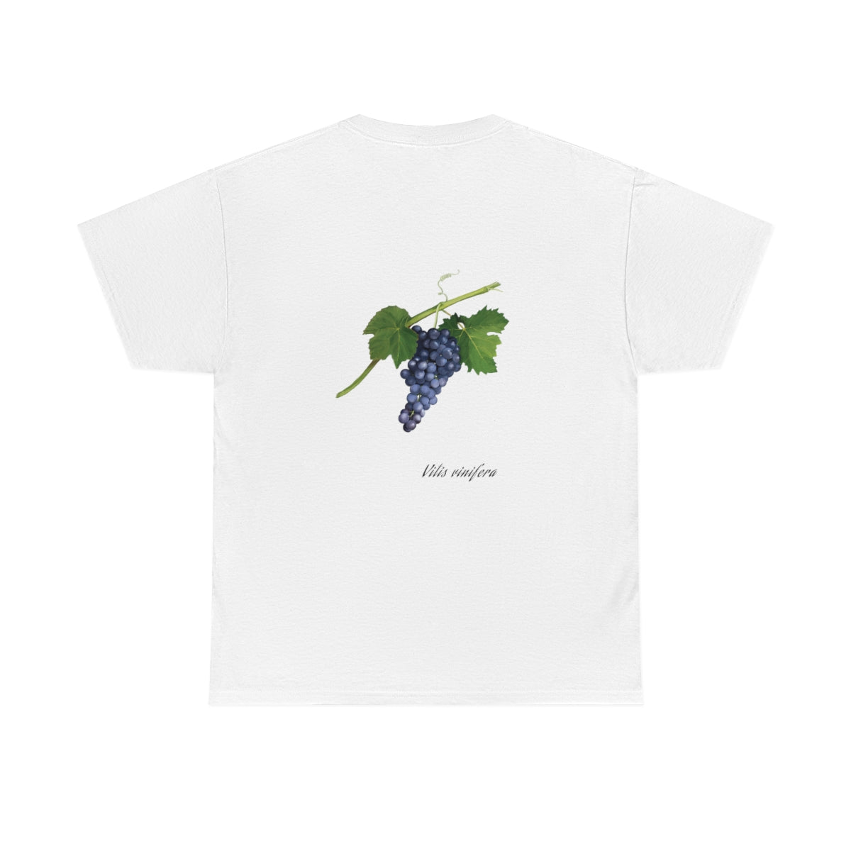 Grape