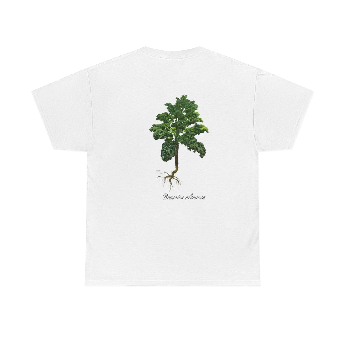 Kale