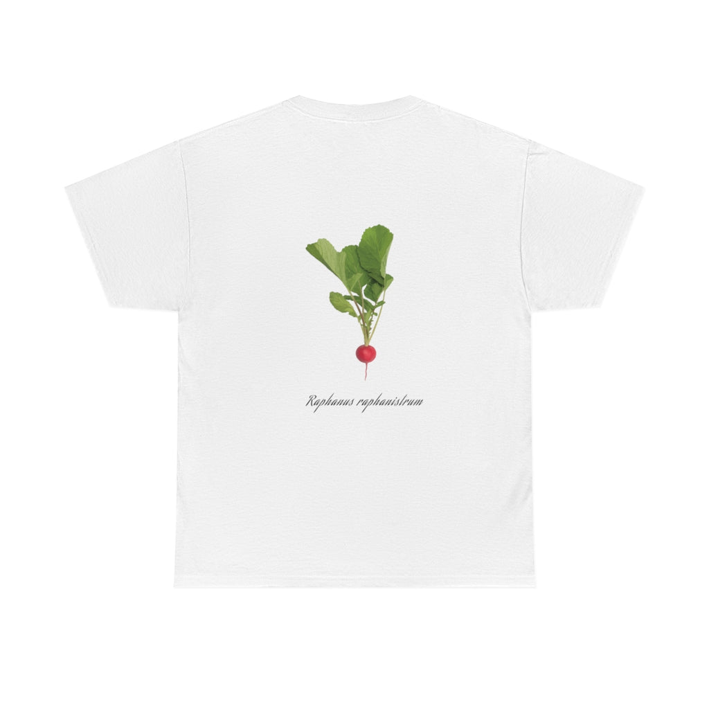 Radish