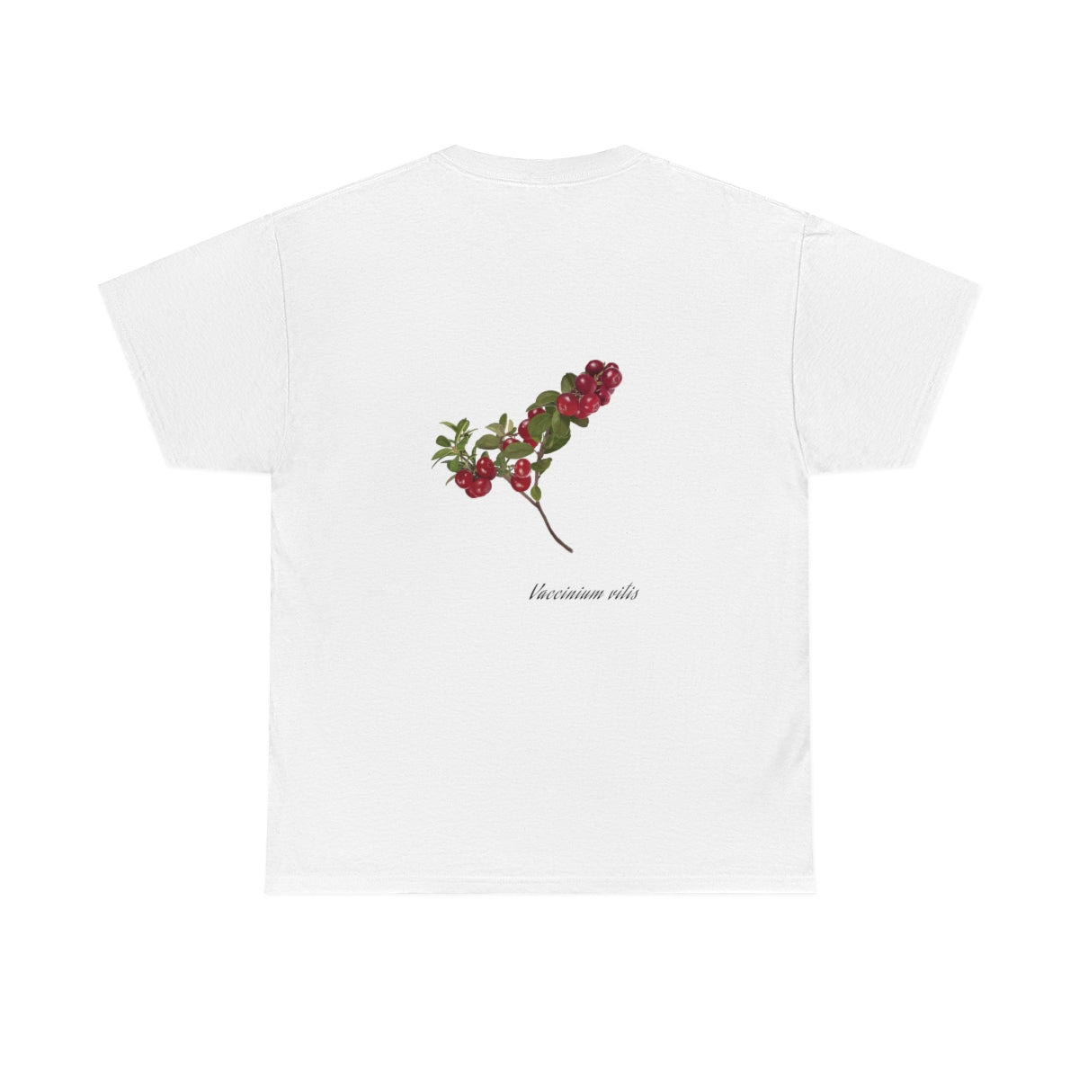 Cranberry