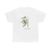 Moringa