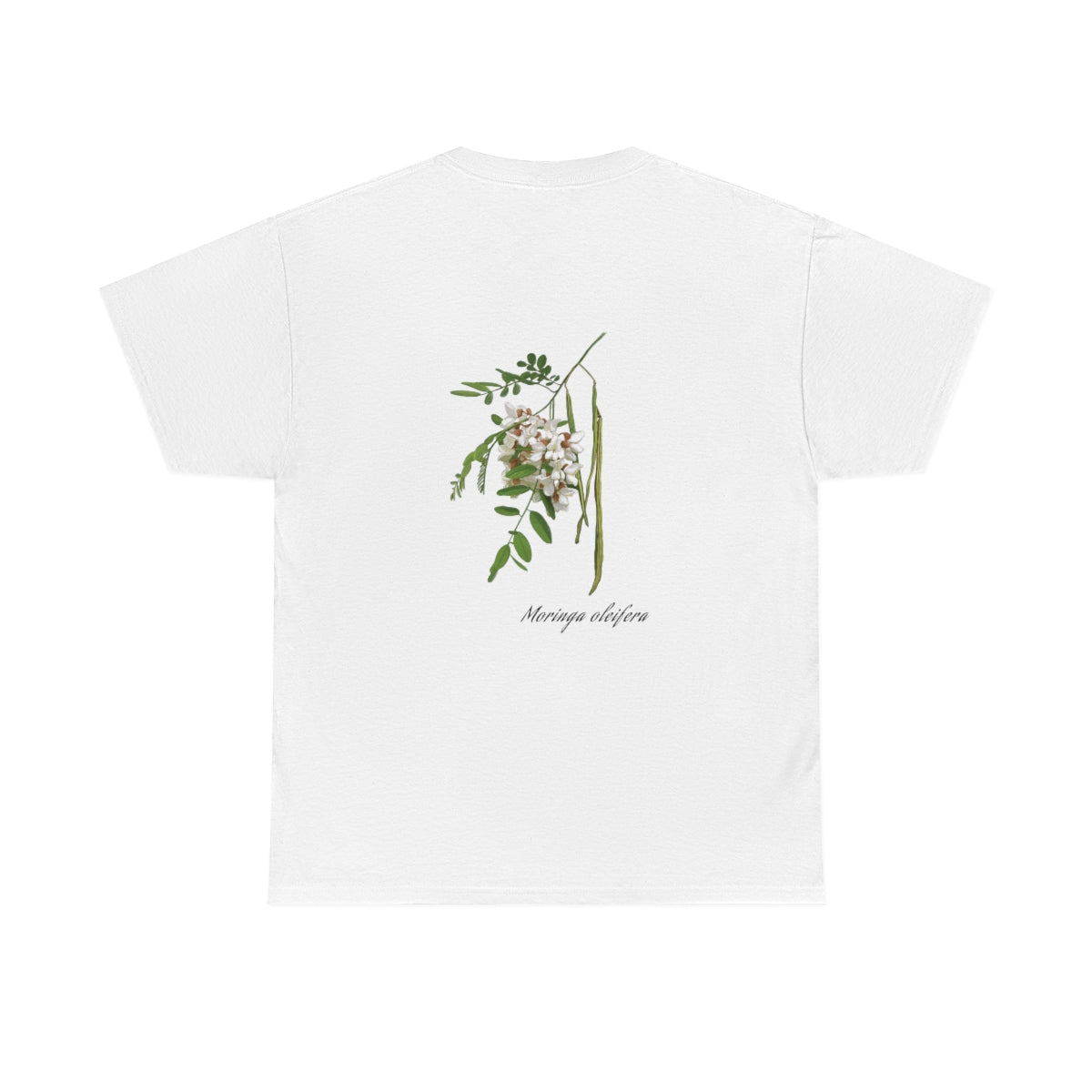 Moringa