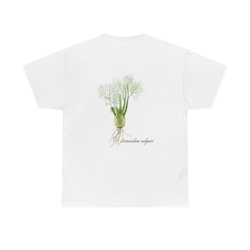 Fennel