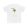 Coriander