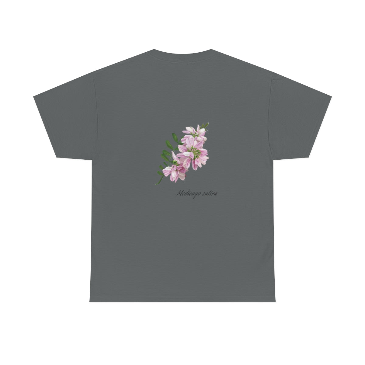 Alfalfa