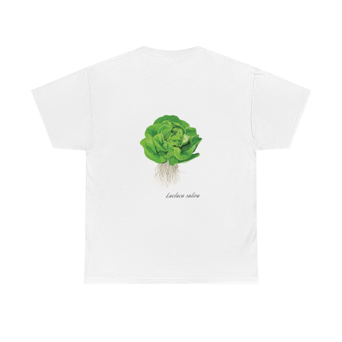 Lettuce