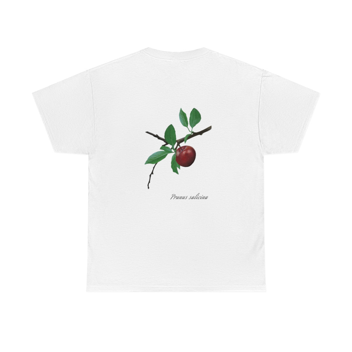 Plum