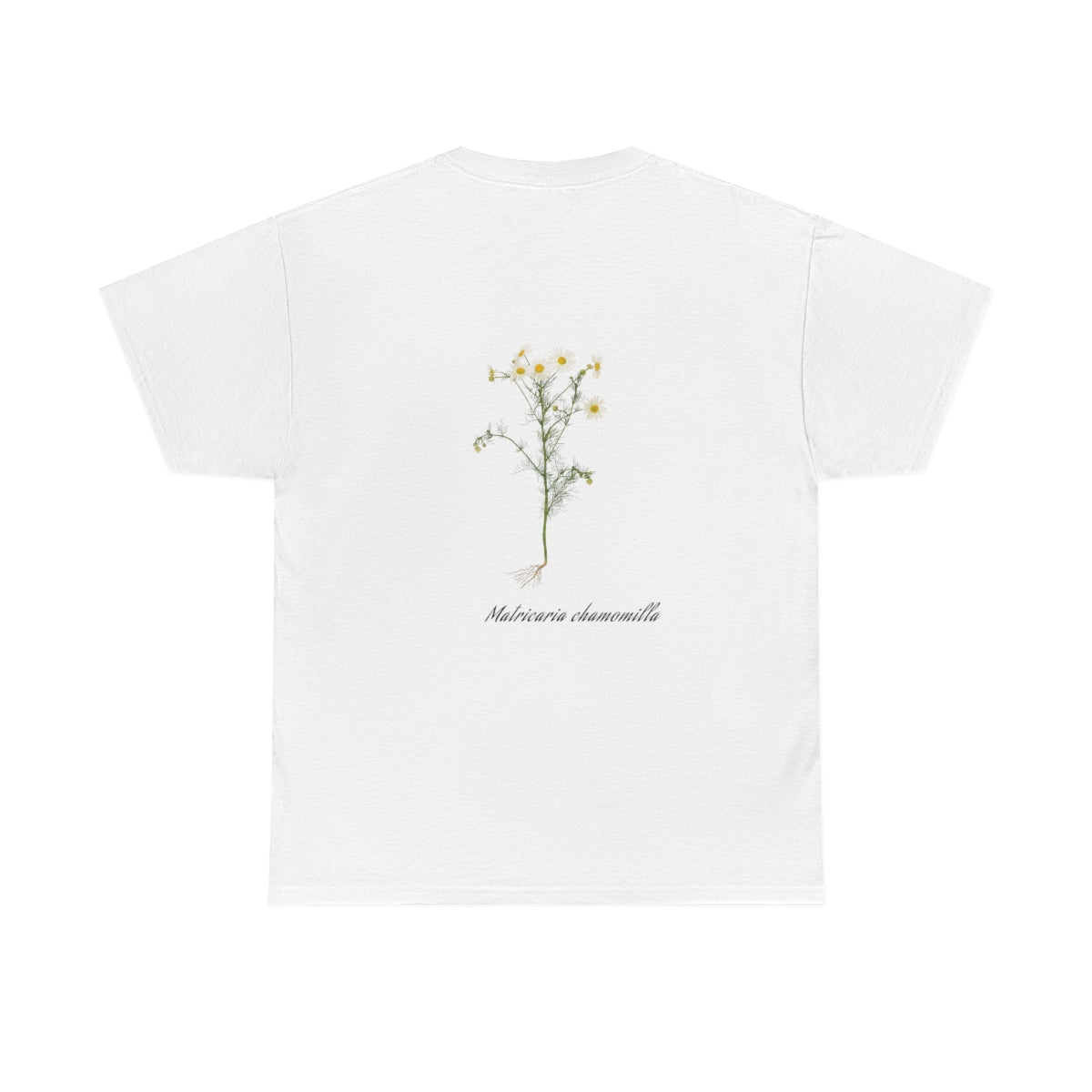 Chamomile