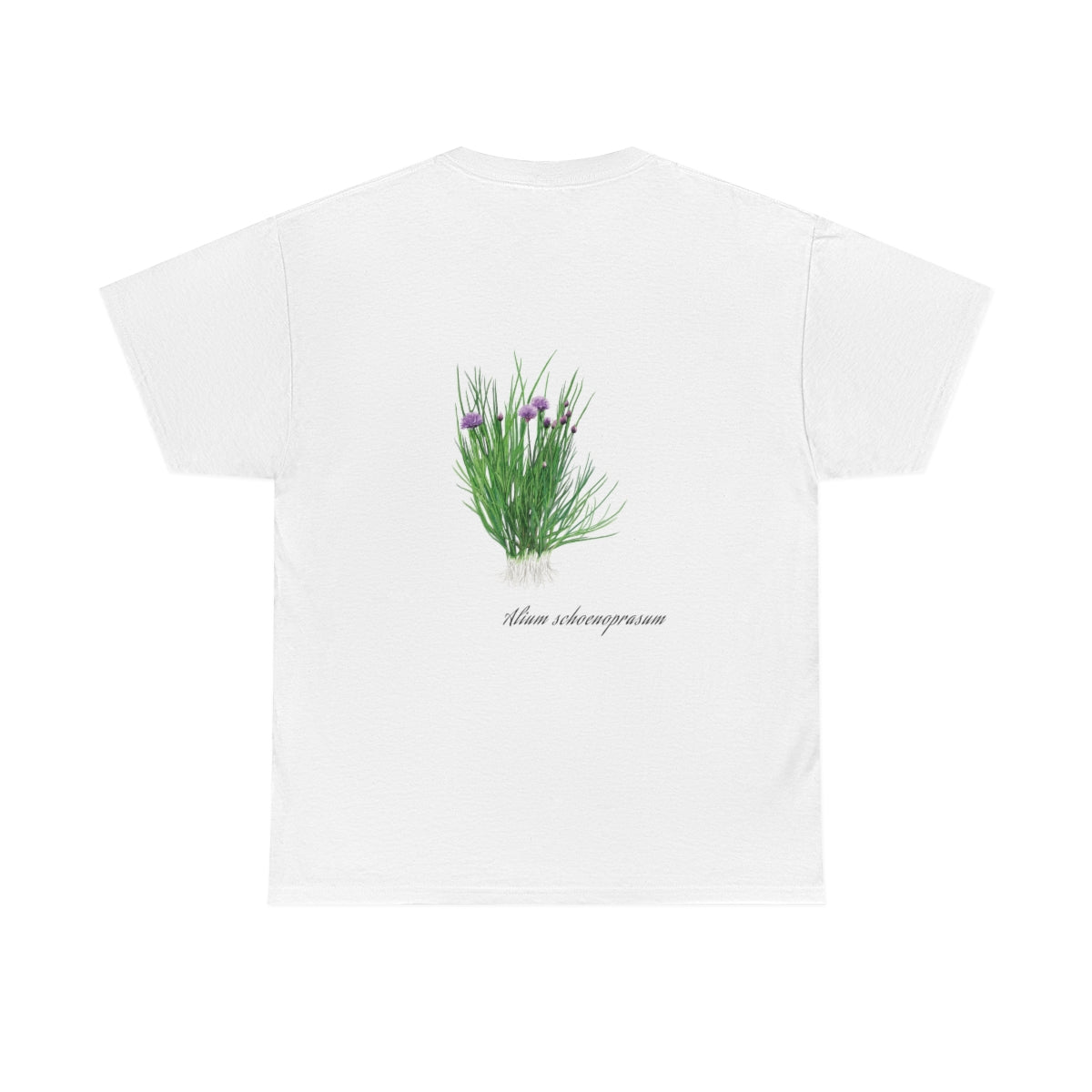 Chive