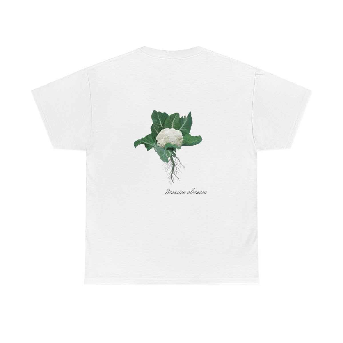 Cauliflower