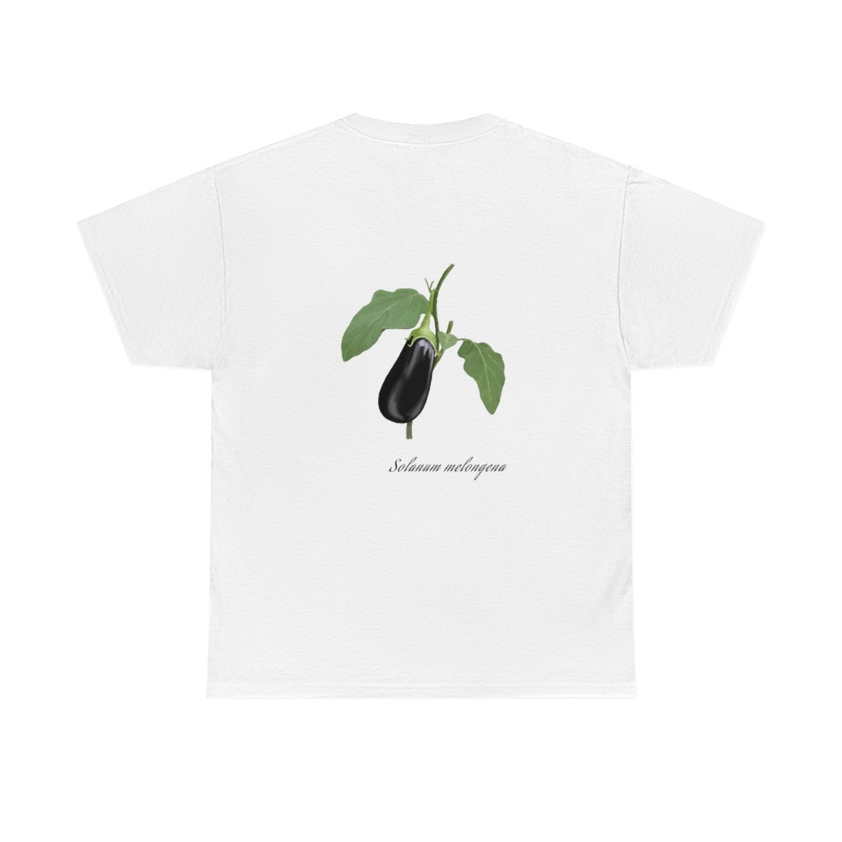 Eggplant