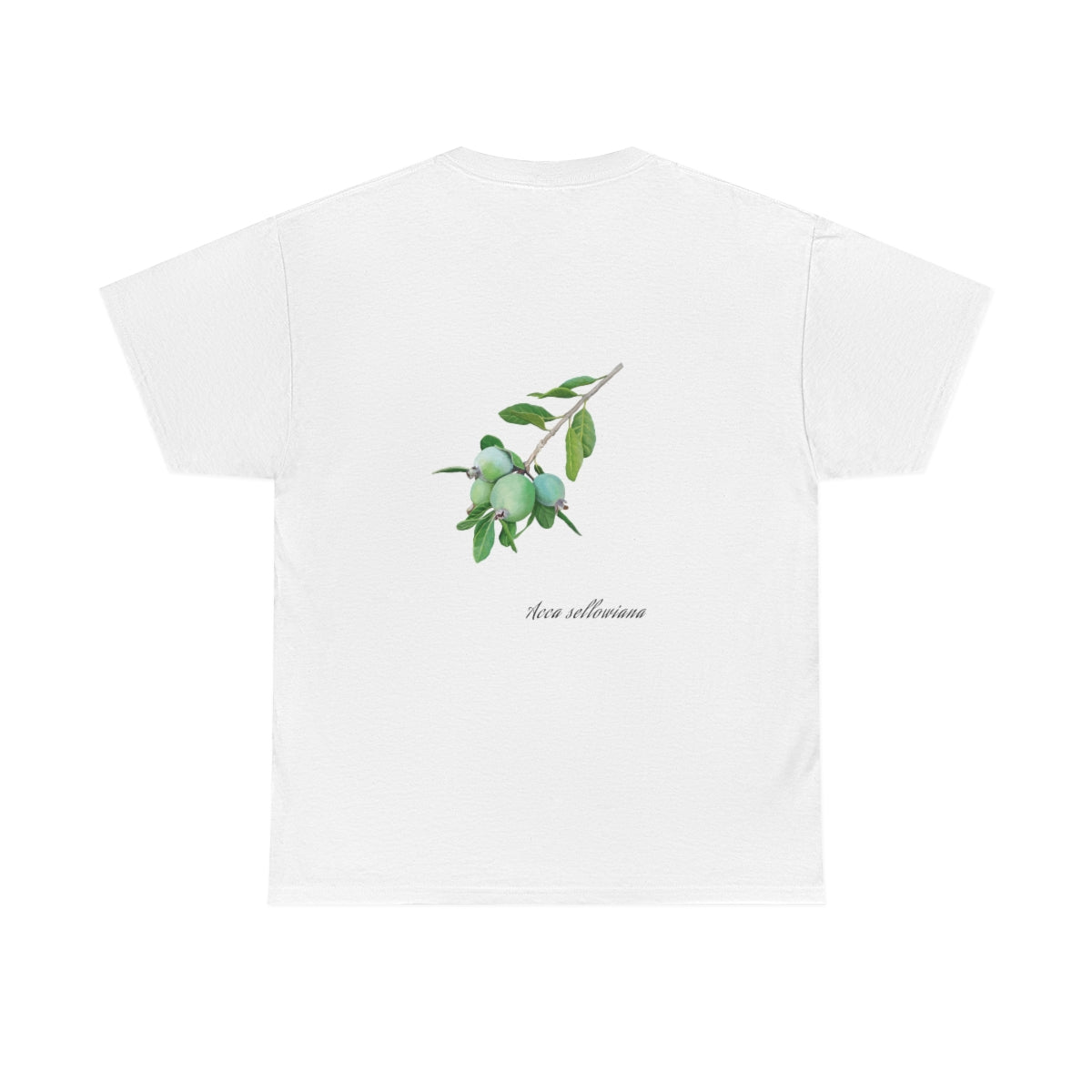 Feijoa