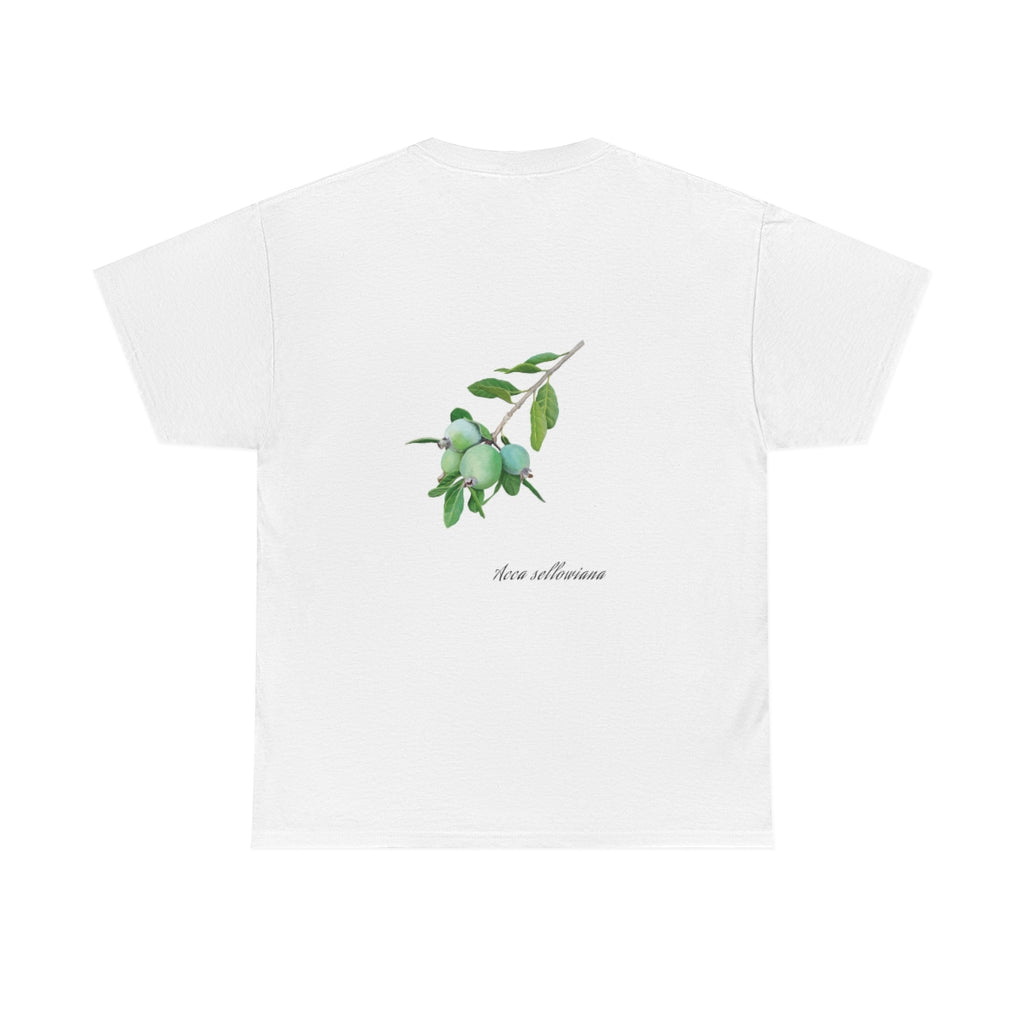 Feijoa