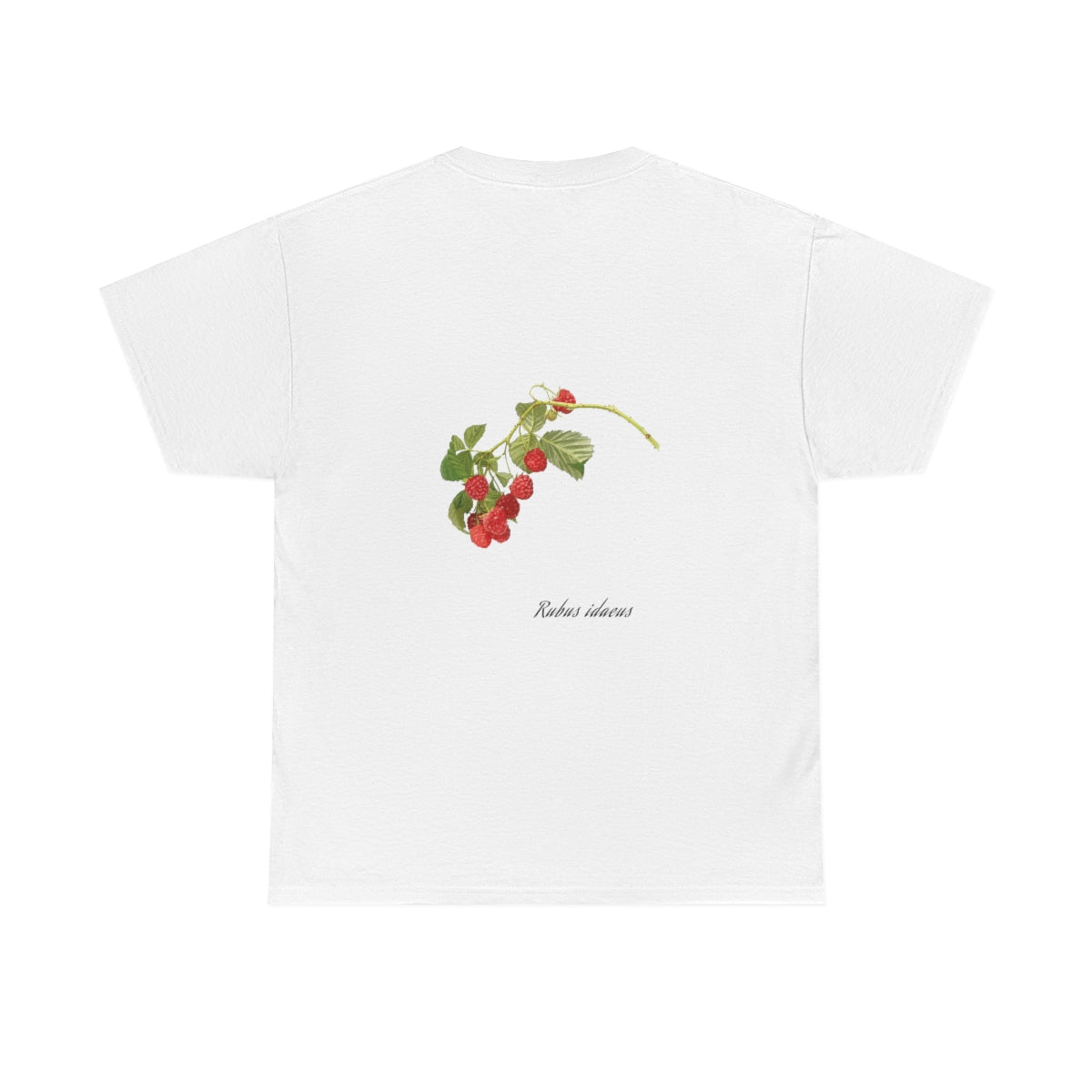 Raspberry
