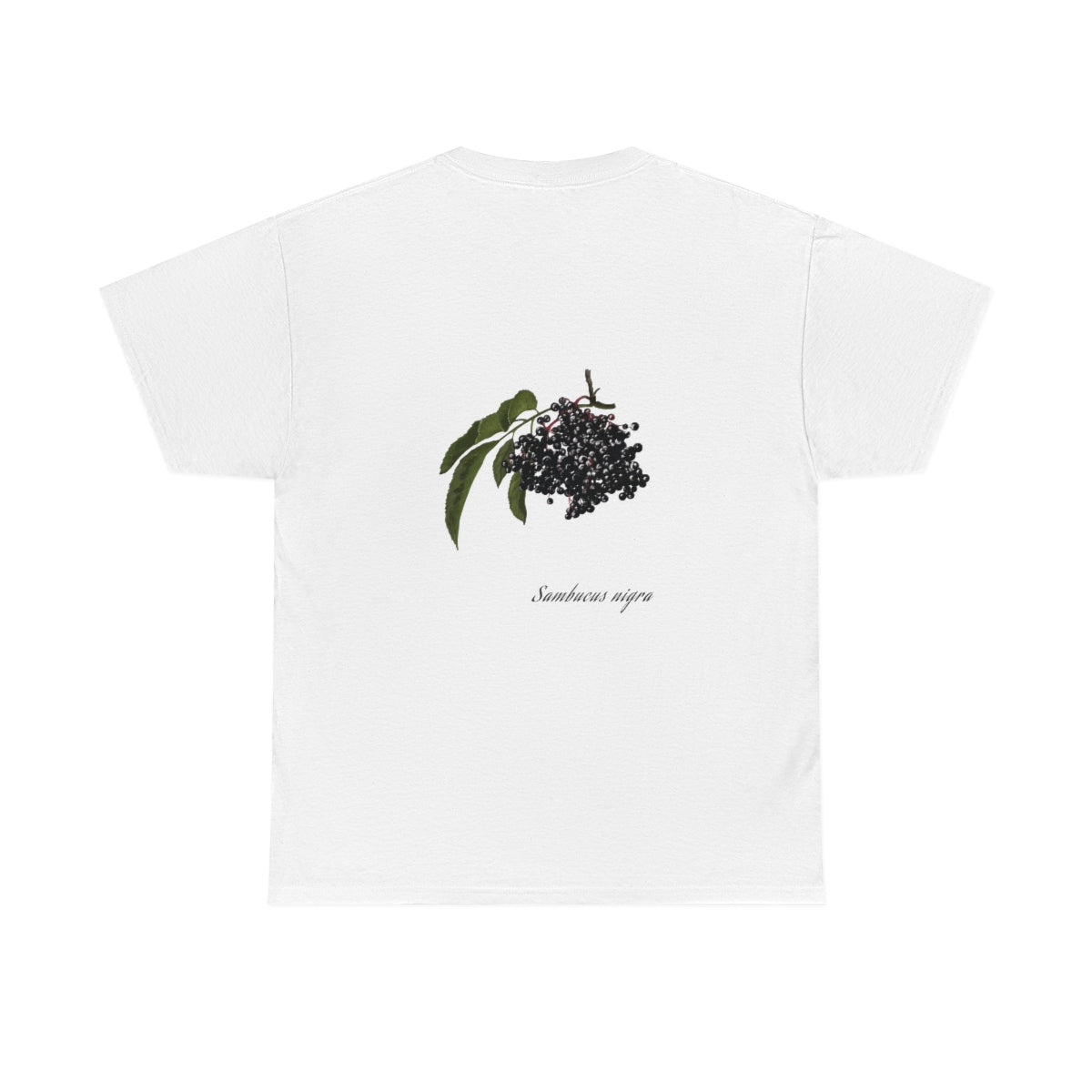 Elderberry