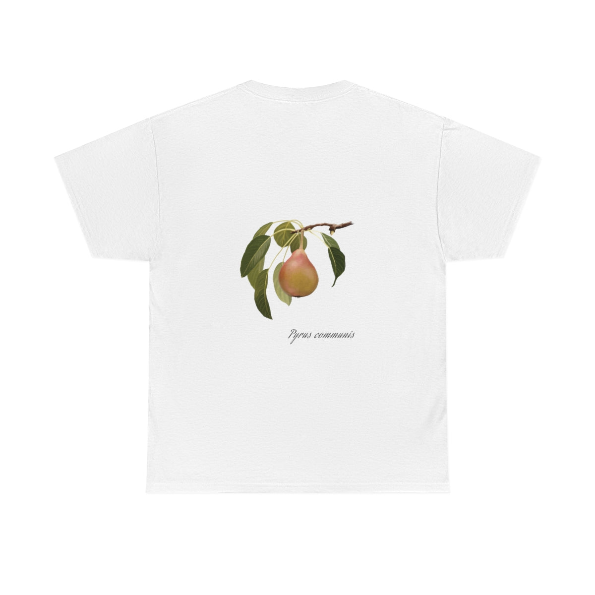 Pear