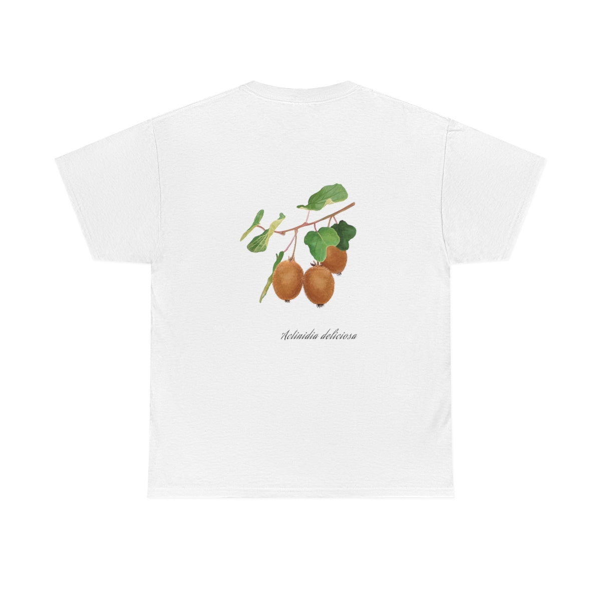 Kiwi