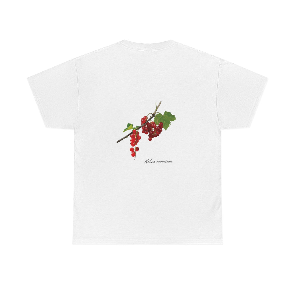 Currant