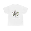 Cotton