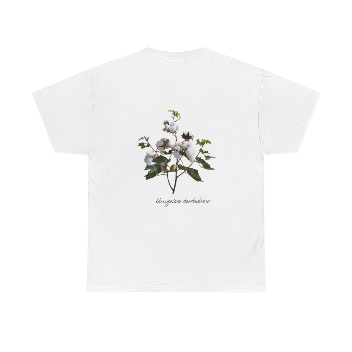 Cotton