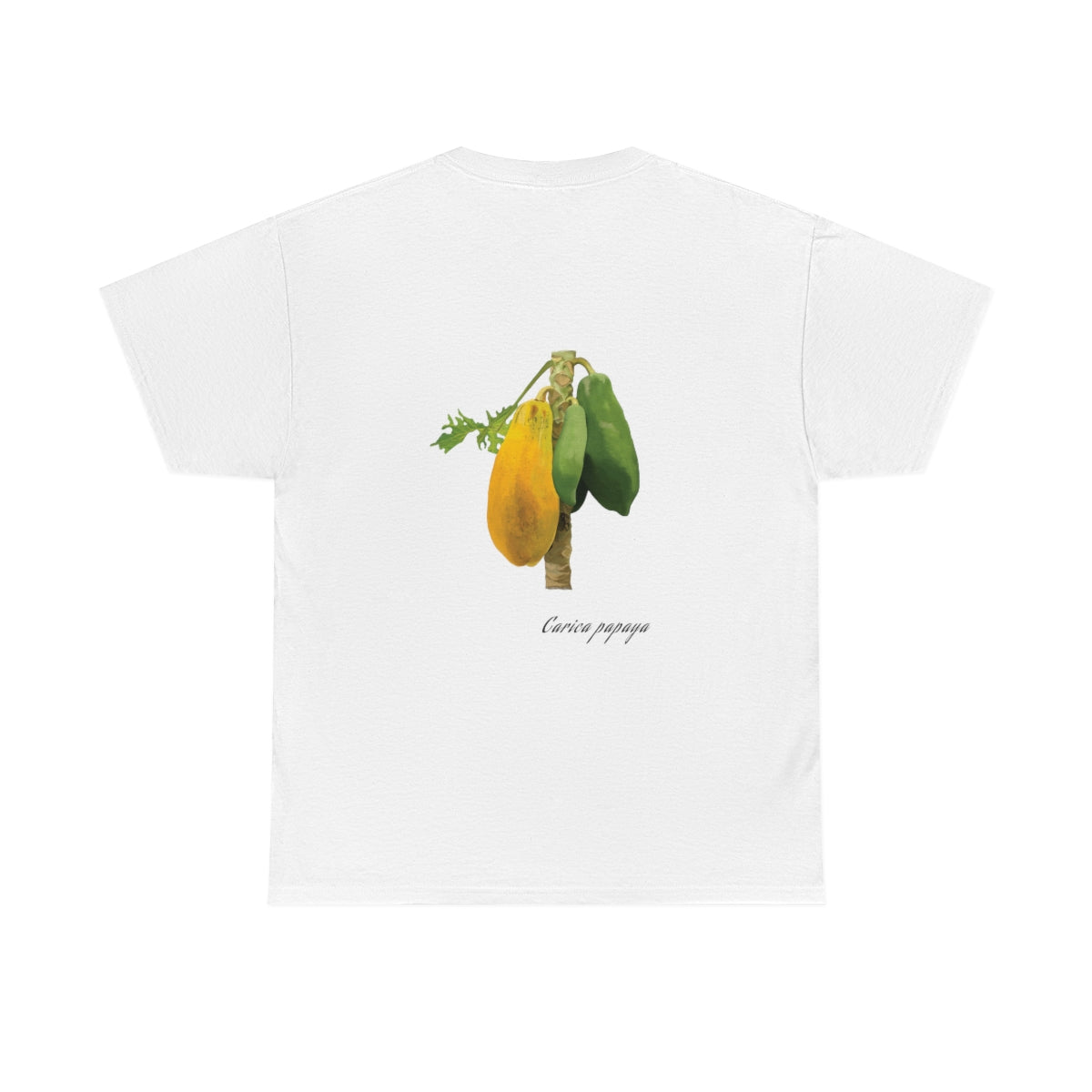 Papaya