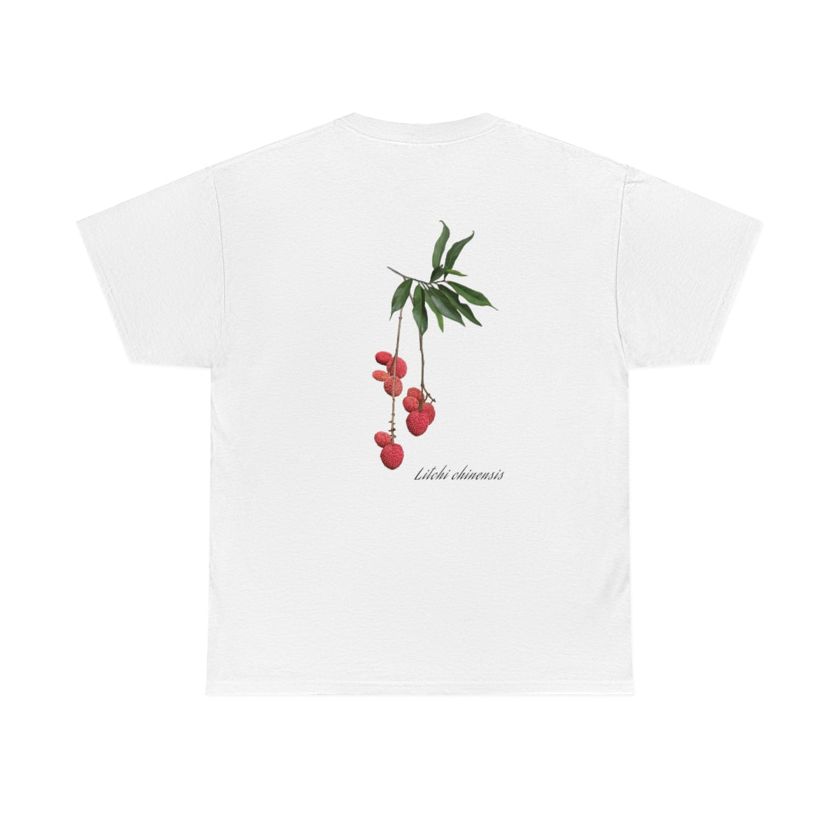 Litchi